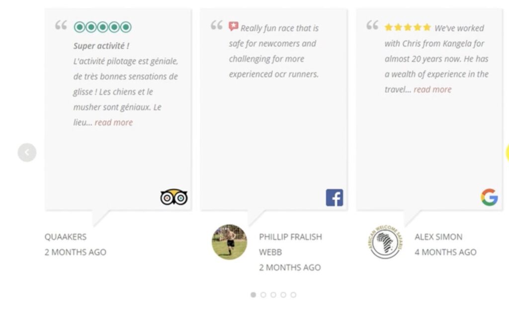 WP Review Slider Pro allows you to create both review grids and sliders.