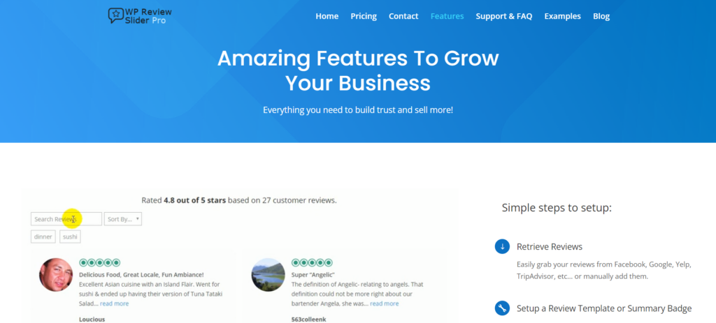 WP Review Slider Pro allows for customizing reviews to match an agent's brand and website design